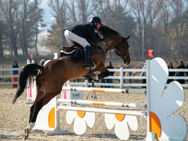 Snacks protéinés : la solution gourmande et pratique pour booster son énergie